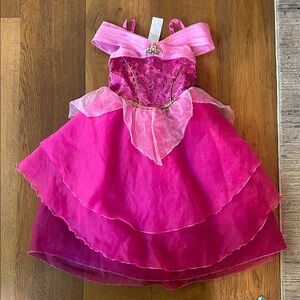 Disney Fuchsia and Pink Aurora Princess Costume